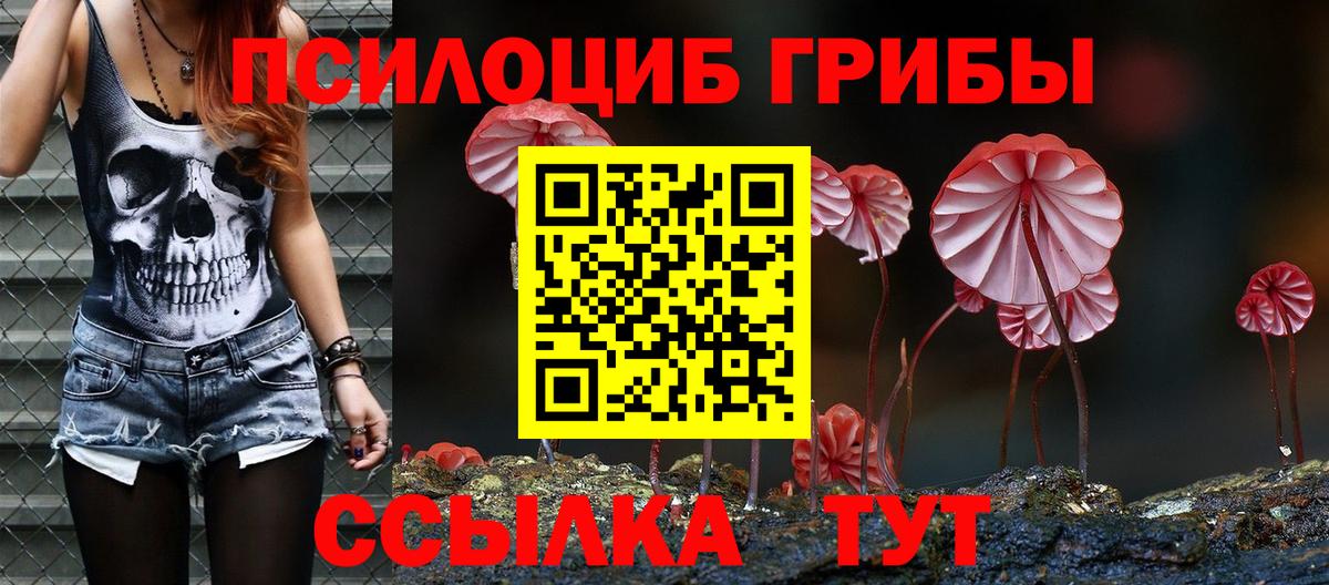 Галлюциногенные грибы мицелий Карачаевск