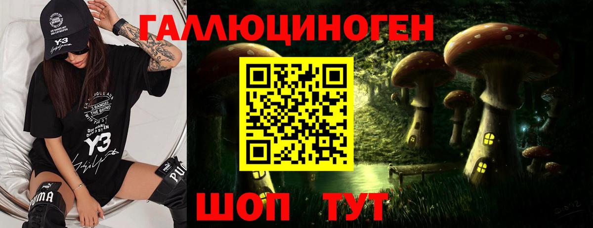 Псилоцибиновые грибы Cubensis  Вход с VPN  Карачаевск 