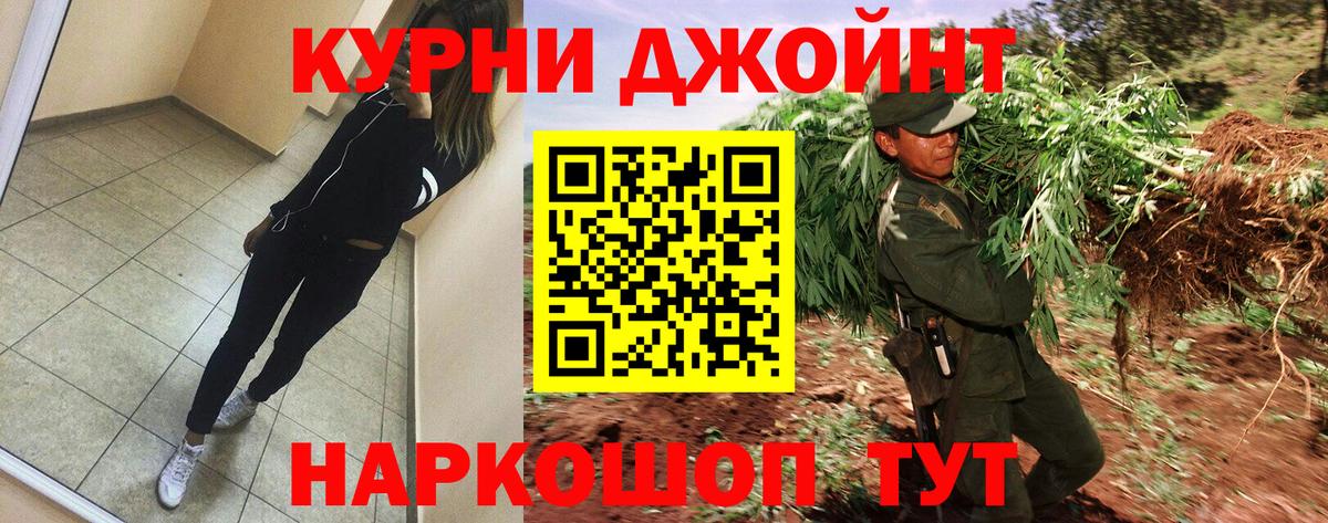 Бошки марихуана OG Kush Карачаевск